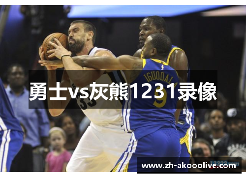 勇士vs灰熊1231录像